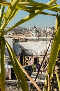 Fez House